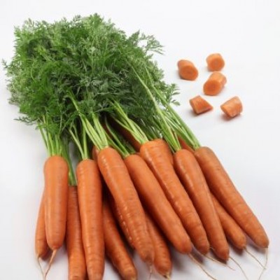  Семена моркови Титан F1 (2,0-2,4), Тип шантане, 250000 cемян, Lark Seeds